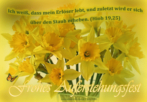 Hiob 19,25 - Ich wei&szlig;, da&szlig; mein Erl&ouml;ser lebt, und zuletzt wird er sich &uuml;ber den Staub erheben.