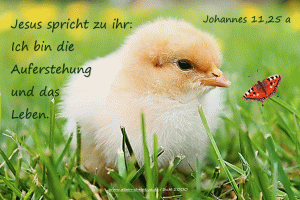 Johannes 11,25 a - Jesus spricht zu ihr: Ich bin die Auferstehung und das Leben.