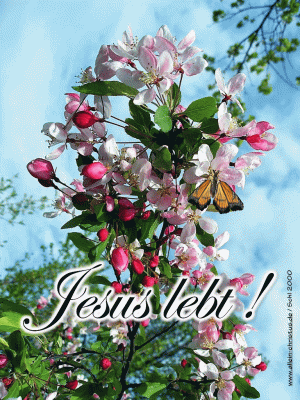Jesus lebt!
