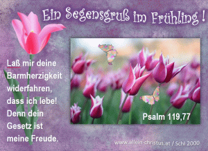 Psalm 119,77 - La&szlig; mir deine Barmherzigkeit widerfahren, dass ich lebe! Denn dein Gesetz ist meine Freude.