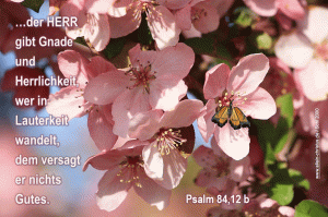 Psalm 84,12 b - Der Herr gibt Gnade und Herrlichkeit, wer in Lauterkeit wandelt, dem versagt er nichts Gutes