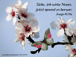 Jesaja 43,19 a - Siehe, ich wirke Neues, jetzt sprosst es hervor