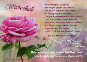 Wechselhaft - Hedi Bode - Motiv Rose