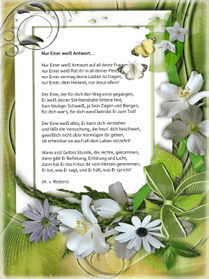 Nur einer wei&szlig; Antwort - Hedwig von Redern
