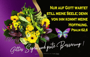 Psalm 62,6 - Nur auf Gott wartet still meine Seele, denn von ihm kommt meine Hoffnung.