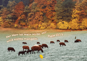 Psalm 23,1 b - Der Herr ist mein Hirte, mir wird nichts mangeln.