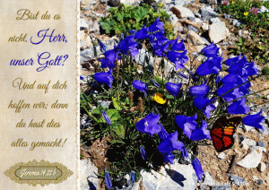 Jeremia 14,22 b - Bist du es nicht, Herr, unser Gott?  Und auf dich hoffen wir; denn du hast dies alles gemacht!