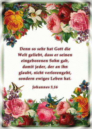 Johannes 3,16 - Denn so sehr hat Gott die Welt geliebt, dass er seinen eingeborenen Sohn gab, damit jeder, der an ihn glaubt, nicht verlorengeht, sondern ewiges Leben hat.
