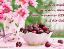 Psalm 116,7 - Sei nun wieder zufrieden, meine Seele, denn der Herr tut dir Gutes