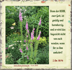 2. Chronika 3 - Denn der Herr, euer Gott, ist gn&auml;dig und barmherzig, und er wird das Angesicht nicht von euch wenden, wenn ihr zu ihm umkehrt