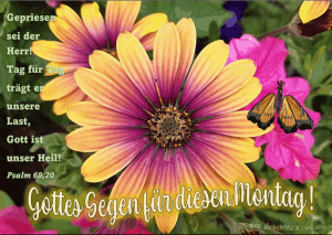 Psalm 68,20 - Gepriesen sei der Herr!  Tag f&uuml;r Tag  tr&auml;gt er  unsere Last,  Gott ist  unser Heil! 