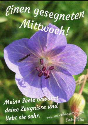 Psalm 119,167 - Meine Seele bewahrt deine Zeugnisse und liebt sie sehr.