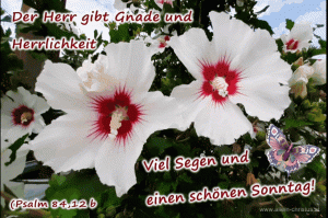 Psalm 84,12 b - Der Herr gibt Gnade und Herrlichkeit