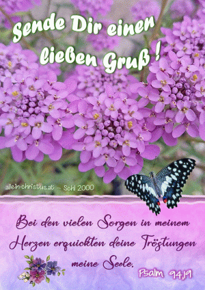 Psalm 94,19 - Bei den vielen Sorgen in meinem Herzen erquickten deine Tr&ouml;stungen meine Seele.