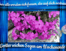 Psalm 5,12 a - Aber alle werden sich freuen, die auf dich vertrauen;