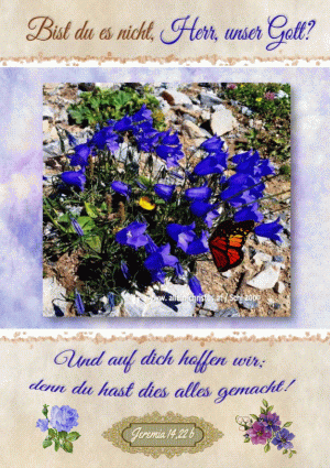 Jeremia 14,22 b - Bist du es nicht, Herr, unser Gott?  Und auf dich hoffen wir; denn du hast dies alles gemacht!