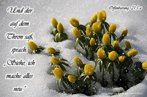 Offenbarung 21,5 a - Und der auf dem Thron sa&szlig;, sprach: Siehe, ich mache alles neu!