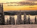 Psalm 147,11 - ...der Herr hat Gefallen an denen, die ihn f&uuml;rchten, die auf seine Gnade hoffen